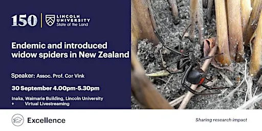 Endemic and introduced widow spiders in New Zealand