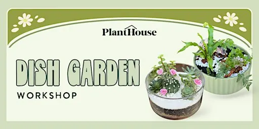 Dish Garden Workshop