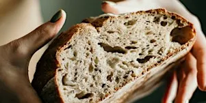 Sourdough 101 Workshop – From starter to slice