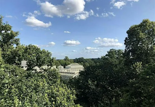 Mindfulness, Forest Bathing and Sketching in Kew Gardens.