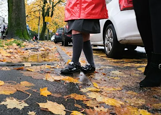 Creative nature walks for all the family (1pm)