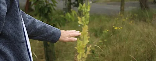 From community gardens to the river (11am)