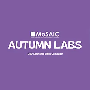 Autumn Labs: Dungeons and Dragons Scientific Skills Campaign (Fri 30th Oct)