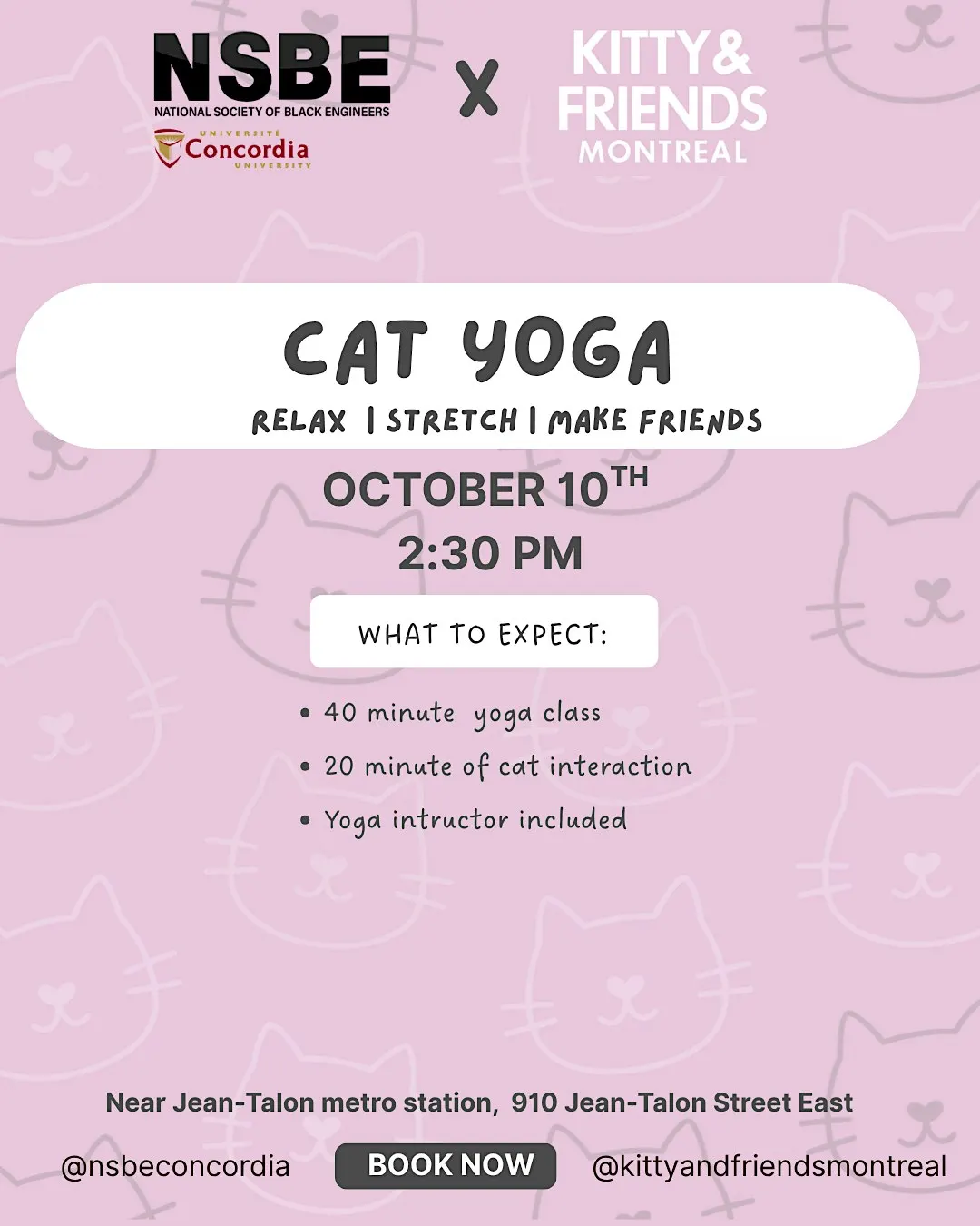 KITTY YOGA