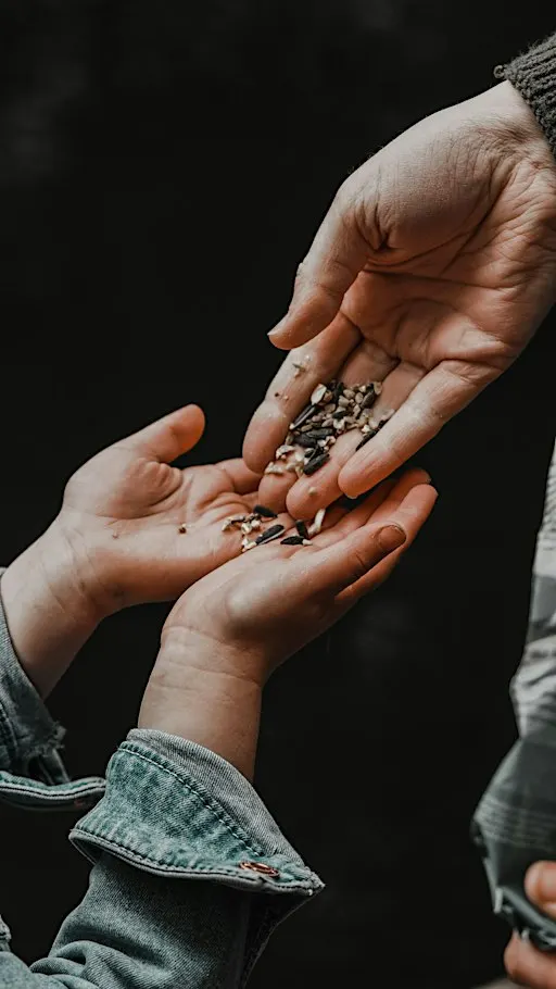 Seed Saving 101