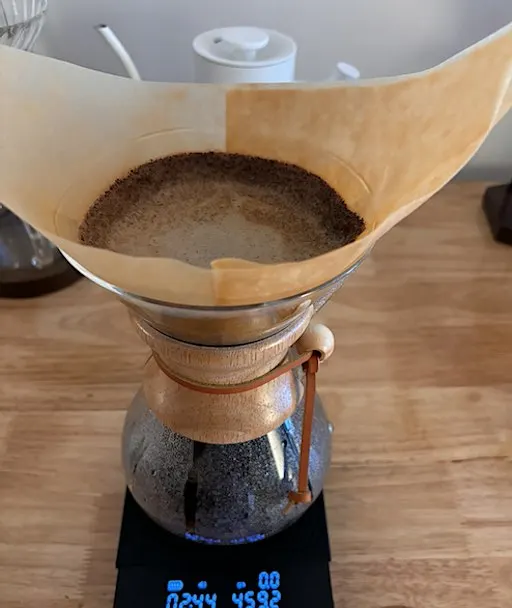 Specialty Coffee Tasting + Ending Brain Fog & the 3 PM Slump