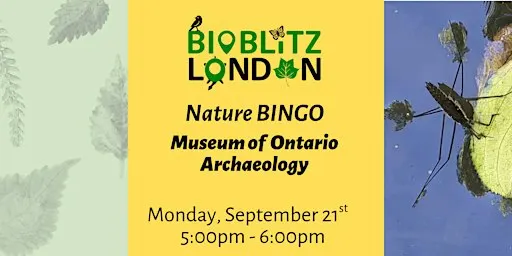 Nature BINGO! - Guided Family Walk in Snake Creek