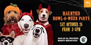 Haunted Howl-o-ween Party for Dogs at Wag Hotels West Loop
