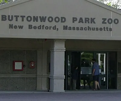 Family Adventure: Buttonwood Park Zoo Quest