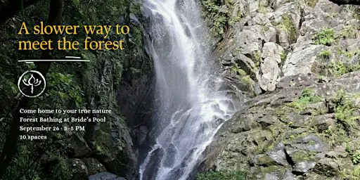 Forest Bathing | Bride's Pool