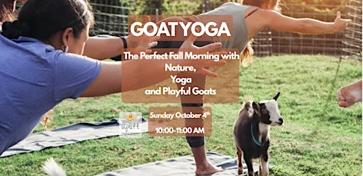 GOAT YOGA in Clarence