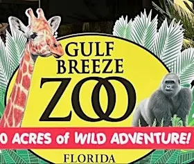 Family Adventure: Gulf Breeze Zoo Safari Quest