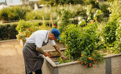Garden-To-Table: Growing for the Chef