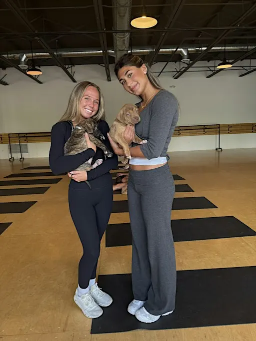 HALLOWEEN THEMED PUPPY YOGA