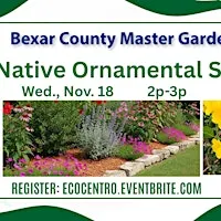 Texas Native Ornamental Shrubs for Your Landscape