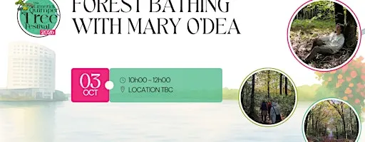 Forest Bathing with Mary O'Dea - Limerick Quimper Tree Festival