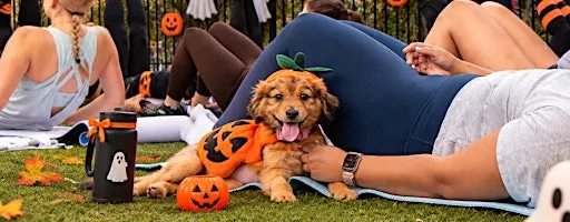 JETSET PILATES WEST BOCA: PUPPIES & PILATES SPOOKY EDITION