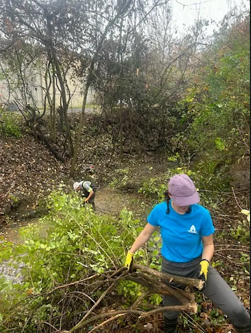 Invasive Plant Removal Workshop