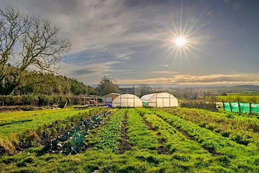 Tyninghame Harvest Lunch 2026