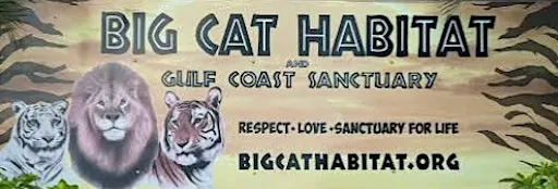 Family Adventure: Big Cat Habitat Wildlife Quest