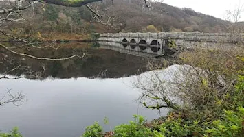 Our Land Flows... from Peat to Pipe: Celebrating Dartmoor's water