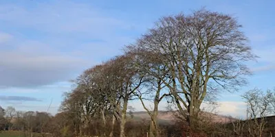 Woodland Management Training
