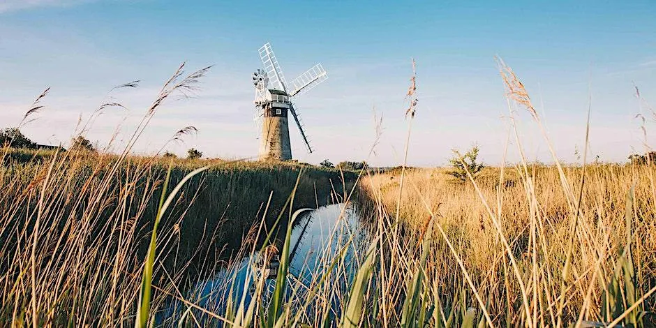 Broads Authority Volunteer Action Day - How Hill, Reedham Marshes