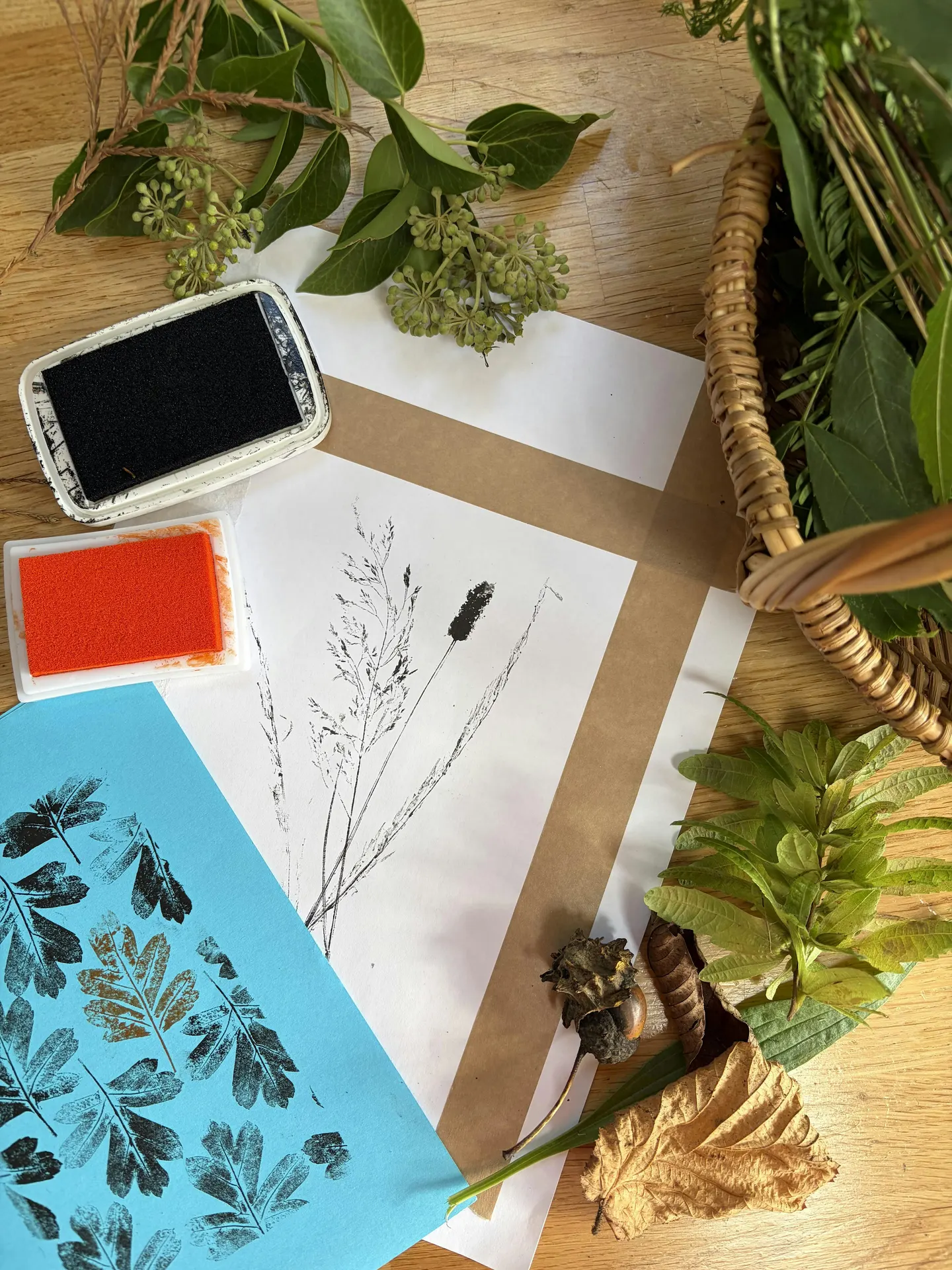 Wild and Imprinted - nature, folklore and botanical printmaking