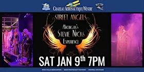 Stevie Nicks Tribute by Street Angel