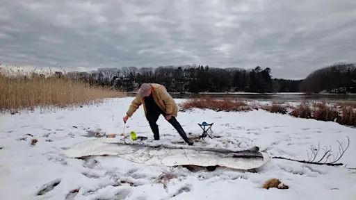 Salt Marsh Film Screening + Artist Discussion