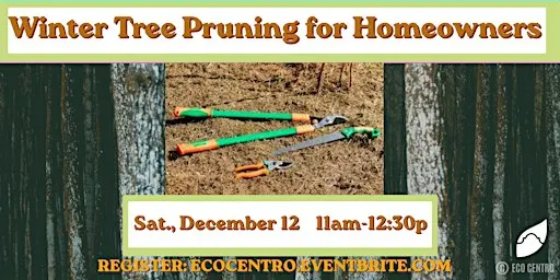 Winter Tree Pruning for Homeowners