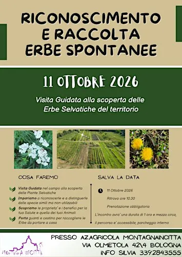RICONOSCIMENTO E RACCOLTA ERBE SPONTANEE