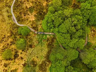 Autumn Migration Walk at Griston Bog