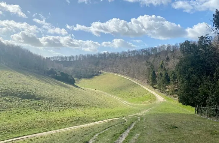 Archaeology Walk, Arundel Park