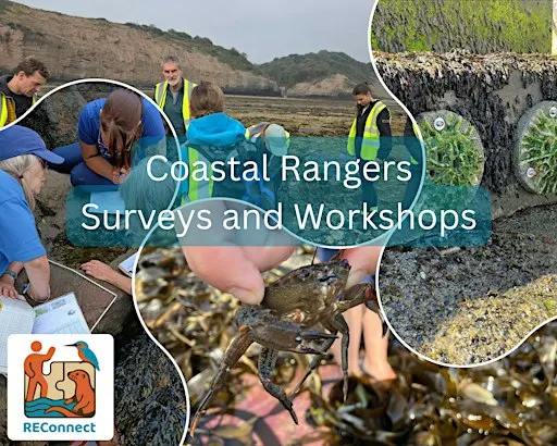 Coastal Rangers - Intro to Citizen Science Methodology - Scarborough