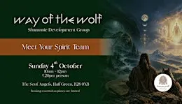 Shamanic Journeys - Meet Your Spirit Team