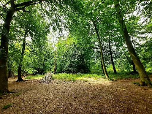 Earth, Body & Sound Mini Retreat