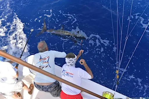MarineMax Booth at the Galveston Fishing Extravaganza | MarineMax Houston