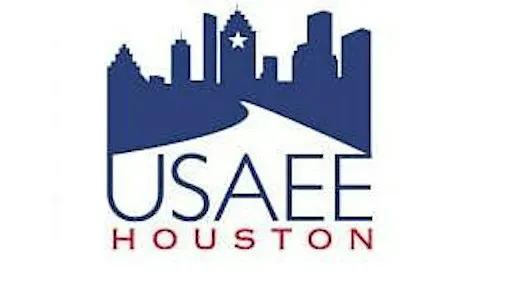 USAEE w/ Sohini Chowdhury of Moody's - Scenario Planning for Power