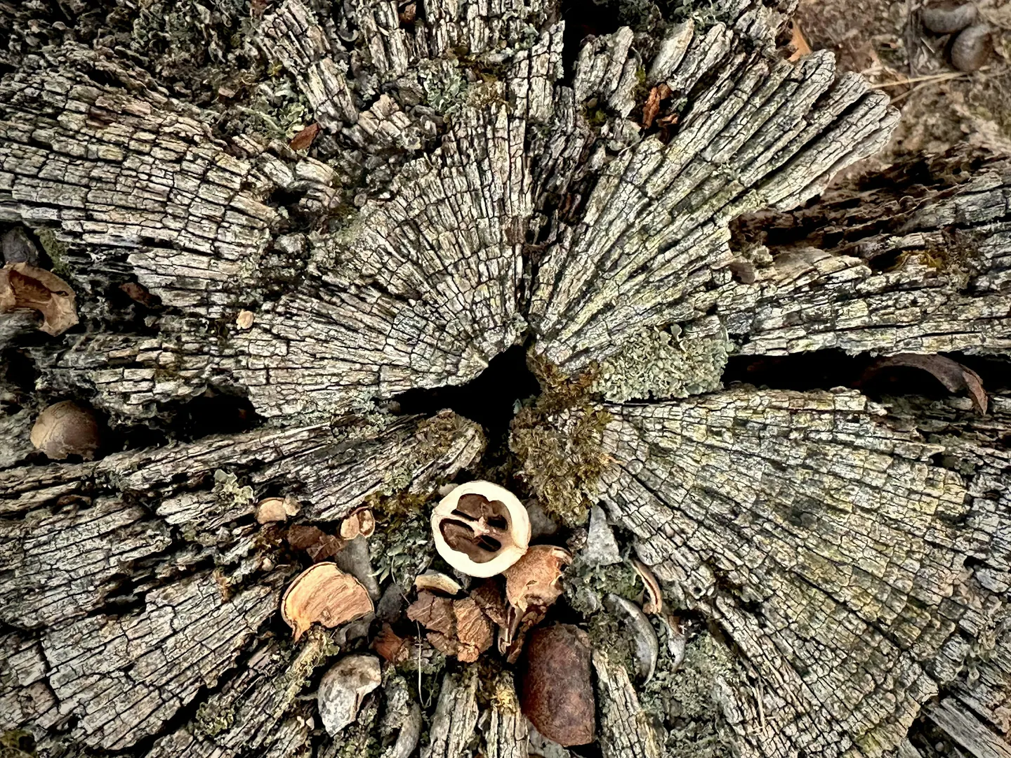 Nature Photography 101