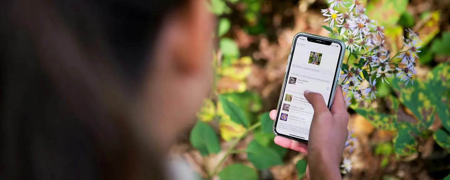 Exploring Nature with iNaturalist - A Beginner's Course