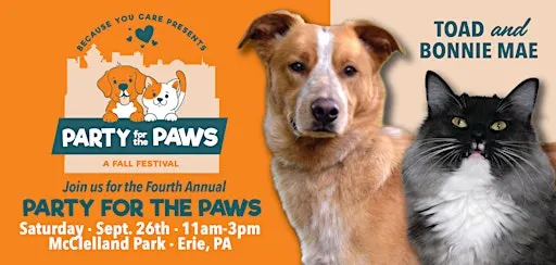 Party for the Paws Fall Fest - Because You Care Animal Rescue