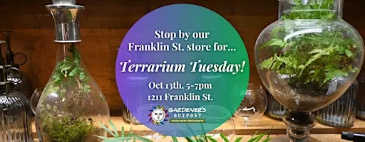 Terrarium Tuesday!
