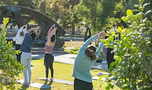 Yoga at The Farm
