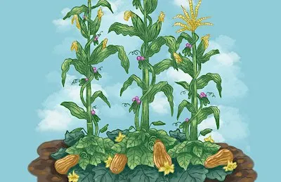 Family Saturday From Farm to Table: Three Sisters Soup Family Workshop