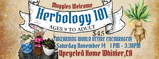Herbology 101 Succulent Workshop