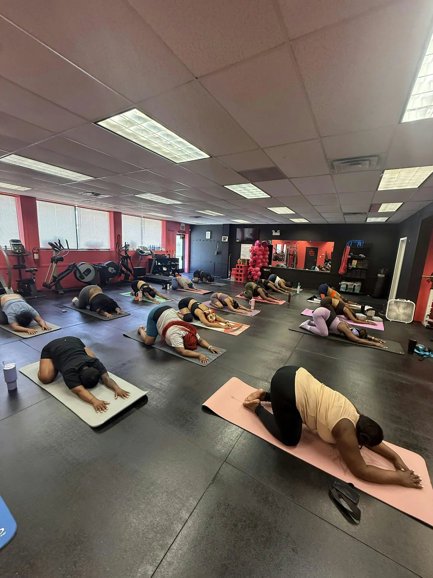 Mindful Movement Workshop #28