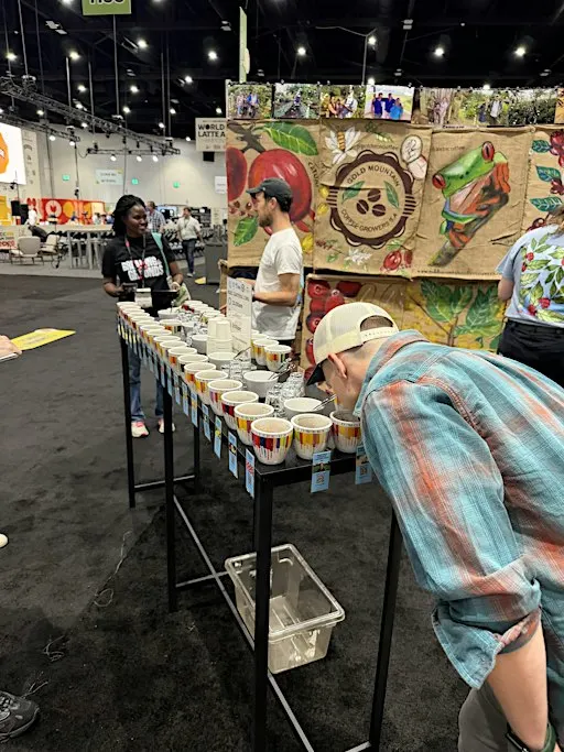 Coffee Tasting
