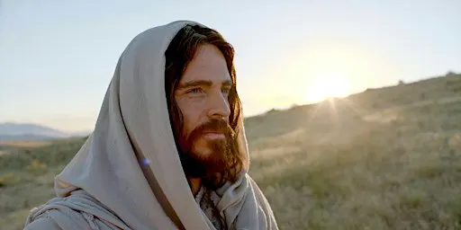 Emotional Resilience Group