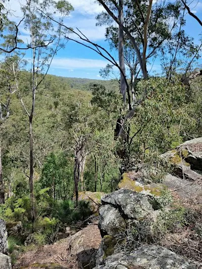 Bushcare Big Day Out